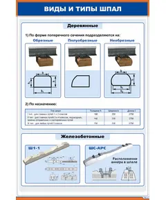 Плакат: Виды и типы шпал (600 х 900 мм, ламинированный с пластиковым профилем и  крючком)