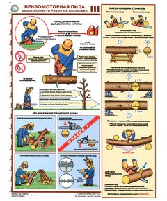 Комплект плакатов: Безмоторная пила.Безопасность работы на лесосеке, 3 листа, формат А2, ламинированные