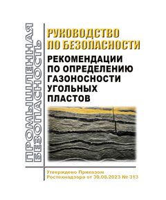 Руководство по безопасности "Рекомендации по определению газоносности угольных пластов". Утверждено Приказом Ростехнадзора от 30.08.2023 № 314