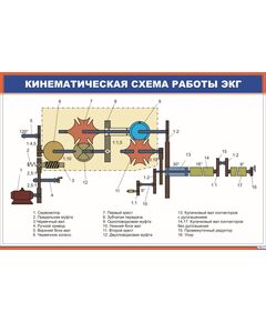 Кинематическая схема работы ЭКГ (900 х 600 мм, ламинированный, с пластиковым профилем и стальным крючком)