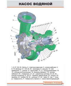 Плакат: Насос водяной (600 х 900 мм, ламинированный с пластиковым профилем и крючком) - Локомотивы и локомотивное хозяйство, (ЦТ, ЦТР), Железнодорожный транспорт -  1