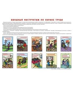 Плакат: Вводный инструктаж по охране труда, 1 штука, формат А2, ламинированный - Охрана труда, Безопасность работ, Плакаты (различные типоразмеры) -  1