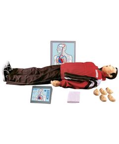T12 МАКСИМ III-01 МАНЕКЕН-ТРЕНАЖЕР СЕРДЕЧНО-ЛЕГОЧНАЯ И МОЗГОВАЯ РЕАНИМАЦИЯ, ТАБЛО НАСТЕННОЕ, ЭЛЕКТРОННЫЙ КОНТРОЛЛЕР - Учебные тренажеры (Комплекты по оказанию неотложной помощи),  -  1