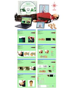 Т12к "Максим III-01", тренажёр сердечно-лёгочной и мозговой реанимации,  с учебным и 4-мя тестовыми режимами, обучающей компьютерной анимационной программой, цифровым датчиком объёма и скорости вдыхаемого воздуха, с пультом контроля управления (1700х550х250/11,6кг.) - Учебные тренажеры (Комплекты по оказанию неотложной помощи),  -  1