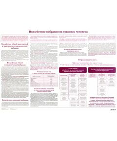 Плакат: Воздействие вибрации на организм человека (лист 15). формат А1, ламинированный. - Вредные факторы рабочей среды на железнодорожном транспорте, Железнодорожный транспорт -  1