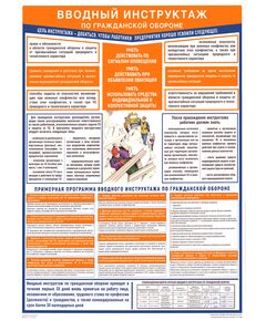 Плакат: Вводный инструктаж по гражданской обороне,1 лист, формат А2, ламинированный - Гражданская оборона и черезвычайные ситуации, Плакаты (различные типоразмеры) -  1