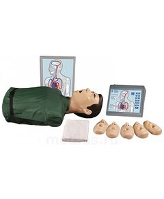 Т2 "Максим III" тренажер сердечно-легочной и мозговой реанимации пружинно-механический с индикацией правильности выполнения действий, тестовыми режимами и настенным табло - торс - Учебные тренажеры (Комплекты по оказанию неотложной помощи),  -  1