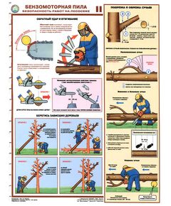 Комплект плакатов: Безмоторная пила.Безопасность работы на лесосеке, 3 листа, формат А2, ламинированные - Охрана труда, Безопасность работ, Плакаты (различные типоразмеры) -  1