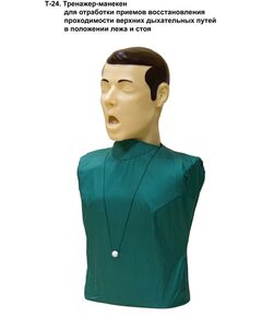 Тренажер - манекен для отработки приёмов восстановления проходимости верхних дыхательных путей в положении лёжа и стоя Т24 "Петр" - Учебные тренажеры (Комплекты по оказанию неотложной помощи),  -  1