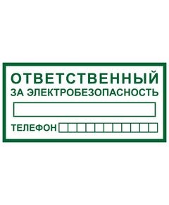 Т 60 Ответственный за электробезопасность (пластик) 100*200 мм - Знаки по электробезопасности (Т), Знаки безопасности (самоклейка, пластик, металл) -  1