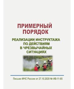 Примерный порядок реализации инструктажа по действиям в чрезвычайных ситуациях. Приложение к письму МЧС России от 27.10.2020 № ИВ-11-85 - Гражданская оборона и черезвычайные ситуации, Книжные издания (Книги, брошюры) -  1