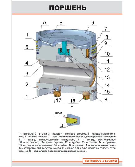 Плакат: Поршень (600 х 900 мм, ламинированный с пластиковым профилем и крючком)