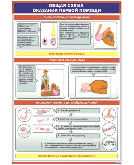 Плакат: Общая схема оказания первой помощи (600 х 900 мм, ламинированный, с пластиковым профилем и стальным крючком)