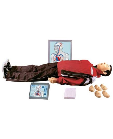 T12 МАКСИМ III-01 МАНЕКЕН-ТРЕНАЖЕР СЕРДЕЧНО-ЛЕГОЧНАЯ И МОЗГОВАЯ РЕАНИМАЦИЯ, ТАБЛО НАСТЕННОЕ, ЭЛЕКТРОННЫЙ КОНТРОЛЛЕР - Учебные тренажеры (Комплекты по оказанию неотложной помощи),  -  1