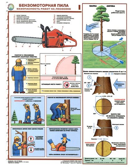 Комплект плакатов: Безмоторная пила.Безопасность работы на лесосеке, 3 листа, формат А2, ламинированные - Охрана труда, Безопасность работ, Плакаты (различные типоразмеры) -  2