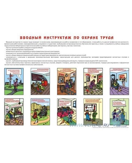 Плакат: Вводный инструктаж по охране труда, 1 штука, формат А2, ламинированный - Охрана труда, Безопасность работ, Плакаты (различные типоразмеры) -  1