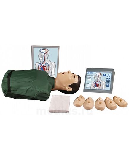 Т2 "Максим III" тренажер сердечно-легочной и мозговой реанимации пружинно-механический с индикацией правильности выполнения действий, тестовыми режимами и настенным табло - торс - Учебные тренажеры (Комплекты по оказанию неотложной помощи),  -  1