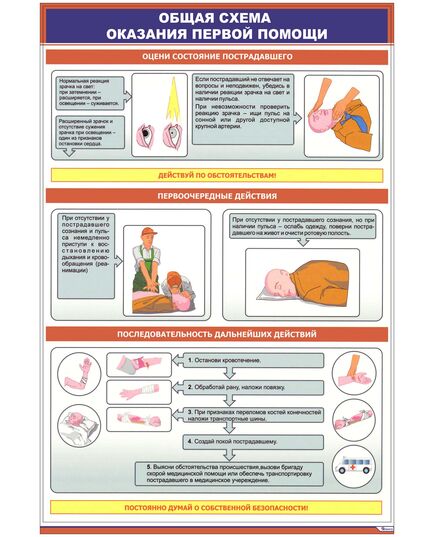 Плакат: Общая схема оказания первой помощи (600 х 900 мм, ламинированный, с пластиковым профилем и стальным крючком) - Охрана труда, Безопасность работ, Плакаты (различные типоразмеры) -  1