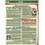 Комплект плакатов: Безопасность дорожного движения, 3 штуки, формат А2, ламинированные - Автомобильный транспорт, Плакаты (различные типоразмеры) -  3