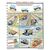 Комплект плакатов: Вождение автомобиля в сложных условиях, 5 листов, формат А2, ламинированные - Автомобильный транспорт, Плакаты (различные типоразмеры) -  1