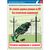 Комплект плакатов: Электробезопасность на железной дороге , 12 штук, формат А3, размер 297 x 420, ламинированные - ПТЭ и безопасность движения, (ЦРБ), Железнодорожный транспорт -  9