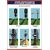 Комплект плакатов: Знаки безопасности в путевом хозяйстве. 8 шт. (420х594 мм, ламинированные, фомат А2) - Путь и путевое хозяйство, (ЦП), Железнодорожный транспорт -  6