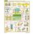 Комплект плакатов: Химическая безопасность. Хлор, 2 листа, формат А2, ламинированные - Охрана труда, Безопасность работ, Плакаты (различные типоразмеры) -  1